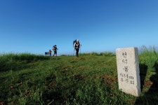 [시즌 특집ㅣ봄꽃산행6선 가이드ㅣ④이천 원적산+이천백사 산수유꽃] 산수유 꽃과 이천 평야의 광활함을 동시에 담다 < Season Special... 