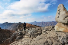 [시즌 특집ㅣ봄꽃산행6선 가이드ㅣ⑤양산 영축산+양산 원동매화]... 가이드ㅣ⑤양산 영축산+양산 원동매화] ‘2만 그루 매화꽃터널’ 지나... 