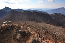 [시즌 특집ㅣ봄꽃산행6선 가이드ㅣ⑤양산 영축산+양산 원동매화] ‘2만 그루 매화꽃터널’ 지나 영남알프스 최고 험봉 정상까지! < Season... 