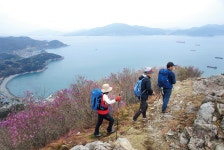 [주말산행 전라도의 숨은 명산ㅣ마래산] 여수의 진면모 보는 도시 능선 종주! < 테마산행 < 기사본문 - 월간산 [주말산행 전라도의 숨은... 