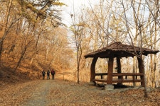 솔향기 솔~솔~나는 울울창창 솔숲에 옛 이야기 가득 < 걷기 좋은 길 < 둘레길 < 기사본문 - 월간산 솔향기 솔~솔~나는 울울창창 솔숲에 옛 이야기 가득