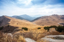 [등산리본특집] 꼭 필요한 곳에 어김없이…리본은 산의 &#39;등대&#39; < Season Special < 테마산행 < 기사본문 - 월간산 [등산리본특집] 꼭... 