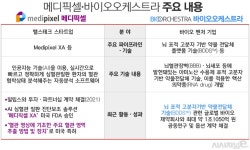 美 경제사절단 포함 메디픽셀·바이오오케스트라···이번 기회 발판 삼는다 < 제약/바이오 < 기사본문 - 시사저널e 美 경제사절단 포함 메디픽셀... 