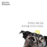 [SISAPOINT] 새 주인을 찾습니다 < 카드뉴스 < 기사본문 - 시사저널e [SISAPOINT] 새 주인을 찾습니다 - 시사저널e