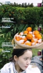 ‘효리네 민박2’ 시청률 9.1%...역대 첫 방송 ‘최고’ < 연예 < 문화... 싱글리스트 ‘효리네 민박2’ 시청률 9.1%...역대 첫 방송 ‘최고’
