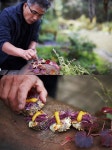 밥정 임지호 셰프, 김혜수·엄정화·한예리 극찬...오감 힐링 스틸 공개 < 영화 < 문화 < 기사본문 - 싱글리스트 밥정... 
