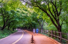 낭만적인 서울야경 명소 Top5 < 여행 < 라이프 < 기사본문 - 소셜포커스(socialfocus) 낭만적인 서울야경 명소 Top5 - 소셜포커스... 