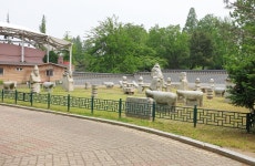 세상에서 가장 큰 놀이터 ‘서울어린이대공원’ (하) < 스페셜... 가장 큰 놀이터 ‘서울어린이대공원’ (하) - 소셜포커스(socialfocus)