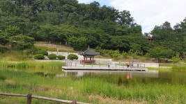 전통미와 상상미가 어울린 북서울꿈의숲(상) < 스페셜 뉴스... 전통미와 상상미가 어울린 북서울꿈의숲(상) - 소셜포커스(socialfocus)