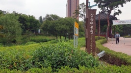 고달픈 근대사가 서려있는 장충단공원(하) < 스페셜 뉴스... (socialfocus) 고달픈 근대사가 서려있는 장충단공원(하) - 소셜포커스(socialfocus)