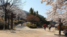 자연 복원의 유토피아, 용인 구갈레스피아 < 스페셜 뉴스 < 편의증진 < 기획특집 < 기사본문 - 소셜포커스(socialfocus) 자연 복원의... 