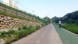 자연 복원의 유토피아, 용인 구갈레스피아 < 스페셜 뉴스 < 편의증진 < 기획특집 < 기사본문 - 소셜포커스(socialfocus) 자연 복원의... 