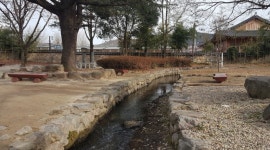 춘향이와 함께 다시 보는 광한루 (상) < 편의증진 < 기획특집... (socialfocus) 춘향이와 함께 다시 보는 광한루 (상) - 소셜포커스(socialfocus)