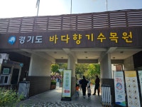 상상이 눈 앞 현실이 되는 바다향기수목원 < 스페셜 뉴스... (socialfocus) 상상이 눈 앞 현실이 되는 바다향기수목원 - 소셜포커스(socialfocus)