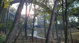 거액들인 안성시 관광시설, 관광약자 외면 < 편의증진 < 기획특집 < 기사본문 - 소셜포커스(socialfocus) 거액들인 안성시 관광시설... 