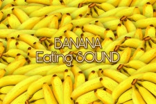 스푼 | #이팅사운드 캐스트