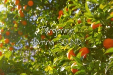 스푼 | #이팅사운드 캐스트