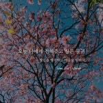 스푼 | #감성글귀 캐스트