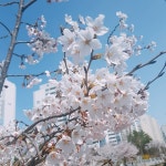 스푼 캐스트 | DJ 주루루님의 눈사람 [주루루커버]
