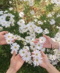 스푼 | #설레임 캐스트