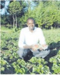 Young farmer ventures to grow strawberry - FarmKenya Initiative Young farmer ventures to grow strawberry  - FarmKenya Initiative