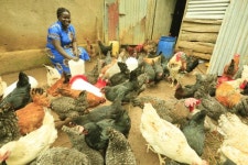 David okwaro - FarmKenya Initiative