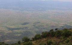 Man abandons cattle raiding to farm mangoes in Kerio Valley - The Standard Man abandons cattle raiding to farm mangoes in Kerio... 