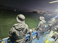 쭈.갑 먹물조황+ - [남촌낚시] 10월 15일 서천마량포구 슈퍼피싱호 쭈갑 조황입니다. 주차 편한 마량진항입니다.