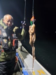 (南)남해조황 - 삼천포 야간낙지