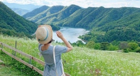 춘천 해피초원목장, SNS 난리 난 알프스 뷰 명당 - 강원도 마이너 갤러리