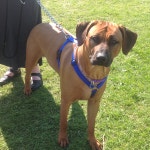 Designs - Thingiverse Rdgbks Thingiverse Profile