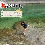 서울 근교 가평 수심 깊은 계곡 추천 BEST7 (+근처 펜션) < 국내 여행 < 기사본문 - 여행톡톡 서울 근교 가평 수심 깊은 계곡 추천 BEST7 (+근처... 