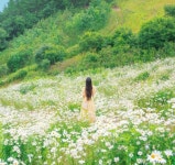 똑같은 실내 데이트 지겹다면?...인생샷 남기기 좋은 여름꽃 데이트 명소 BEST6 < 이슈 < 여행뉴스 < 기사본문 - 여행톡톡 똑같은 실내 데이트... 