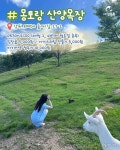 당일치기 국내 목장 추천 BEST6 (+양떼목장,포토존) < 국내 여행 < 기사본문 - 여행톡톡 당일치기 국내 목장 추천 BEST6 (+양떼목장,포토존)