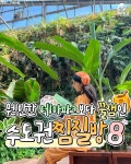 2023 서울 근교 찜질방 추천 BEST8 (+숙박) < 국내 여행 < 기사본문 - 여행톡톡 2023 서울 근교 찜질방 추천 BEST8 (+숙박)