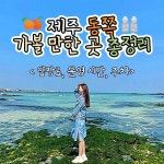 제주 동쪽 가볼 만한 곳 총정리 (+입장료, 운영 시간, 주차) < 국내 여행... 여행톡톡 제주 동쪽 가볼 만한 곳 총정리 (+입장료, 운영 시간, 주차)