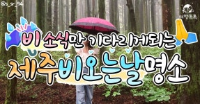 제주 비올때 가볼만한 곳 추천 BEST 8 < 국내 여행 < 기사본문 - 여행톡톡 제주 비올때 가볼만한 곳 추천 BEST 8