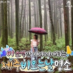 제주 비올때 가볼만한 곳 추천 BEST 8 < 국내 여행 < 기사본문 - 여행톡톡 제주 비올때 가볼만한 곳 추천 BEST 8