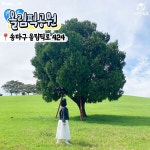 서울 산책하기 좋은 곳 추천 BEST 8 < 국내 여행 < 기사본문 - 여행톡톡 서울 산책하기 좋은 곳 추천 BEST 8