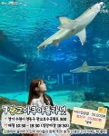 국내 아쿠아리움 추천 BEST 8 (+비교, 순위, 입장료) < 국내 여행 < 기사본문 - 여행톡톡 국내 아쿠아리움 추천 BEST 8 (+비교, 순위, 입장료)