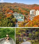 가을에 가면 더 좋은 호텔 추천 BEST6 < 국내 여행 < 기사본문 - 여행톡톡 단풍구경과 호캉스를 한 번에!... 가을에 가면 더 좋은 호텔 추천... 