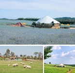 직접 가본곳만 골랐습니다... 7년차 여행 에디터가 추천하는 당진 가볼만한 곳 7 < 국내 여행 < 기사본문 - 여행톡톡 직접 가본곳만 골랐습니다... 