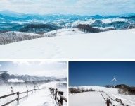너무 특별해서 당황스러워...겨울에만 볼 수 있다는 수도권 근처 신기한 명소들 < 국내 여행 < 기사본문 - 여행톡톡 너무 특별해서 당황스러워...... 