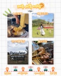 제주도 서쪽 코스 2박 3일 추천 BEST5 (+놀거리, 숙소, 맛집) < 국내 여행 < 기사본문 - 여행톡톡 제주도 서쪽 코스 2박 3일 추천 BEST5 (+놀거리... 
