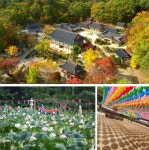 남양주 가볼만한 곳 추천 BEST 7 (+숨은 여행 명소 추천) < 국내 여행... 여행톡톡 남양주 가볼만한 곳 추천 BEST 7 (+숨은 여행 명소 추천)