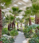 미리 봄 만나러 가볼까?... 초록빛 가득한 서울 근교 식물원 카페 추천 TOP5 < 국내 여행 < 기사본문 - 여행톡톡 미리 봄 만나러 가볼까?...... 