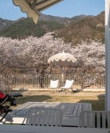 지금 예약안하면 놓칩니다... 봄 여행을 책임질 벚꽃뷰 숙소 추천 BEST 5 < 숙소&맛집 < 기사본문 - 여행톡톡 지금 예약안하면 놓칩니다...... 
