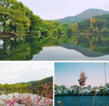 경산 가볼만한 곳 BEST 5 (+여행명소추천, 데이트코스) < 국내 여행 < 기사본문 - 여행톡톡 경산 가볼만한 곳 BEST 5 (+여행명소추천, 데이트코스)