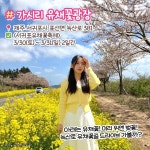 3월 제주도 가볼만한곳 BEST8 (+날씨,봄꽃 개화시기) < 국내 여행 < 기사본문 - 여행톡톡 3월 제주도 가볼만한곳 BEST8 (+날씨,봄꽃 개화시기)