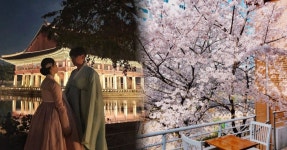 로맨틱한 서울 봄 데이트 코스 추천 BEST 5 < 국내 여행 < 기사본문 - 여행톡톡 꽃과 함께 피어나는 우리 사랑... 로맨틱한 서울 봄 데이트... 